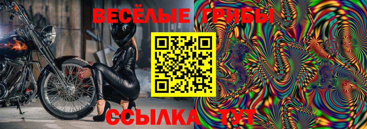 Искитим  Галлюциногенные грибы GOLDEN TEACHER  Галлюциногенные грибы мухоморы  Вход с VPN 