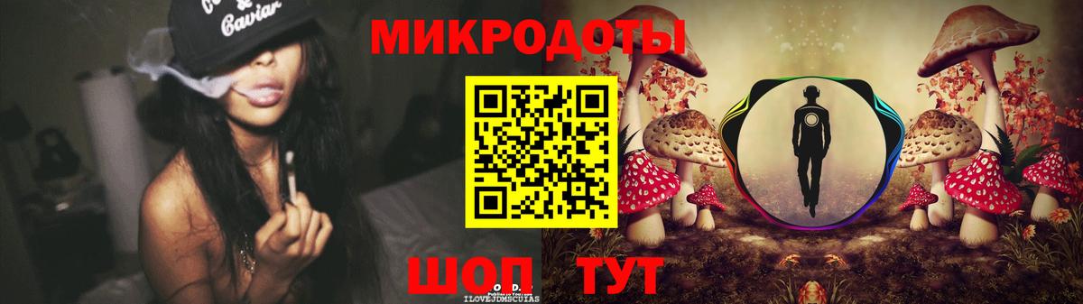 Галлюциногенные грибы Psilocybe Искитим